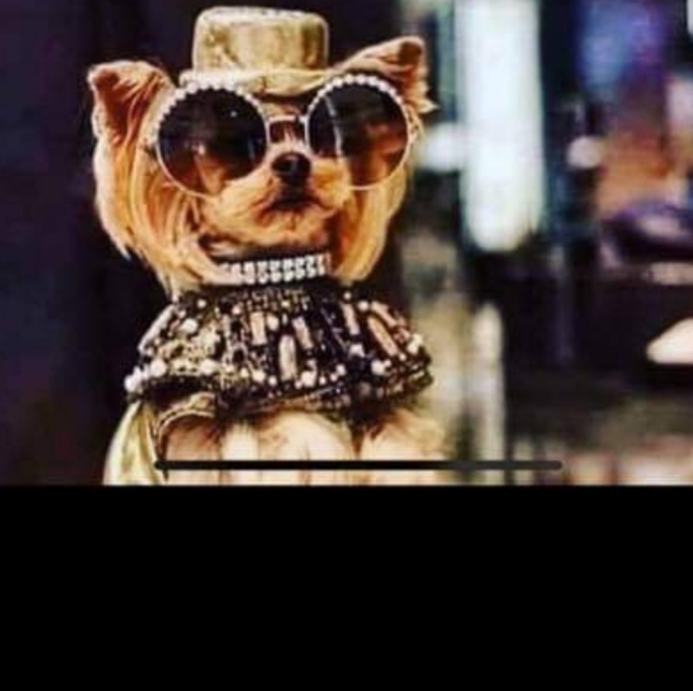 Meet your Posher, Courtney